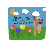 859246695