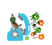 859246696
