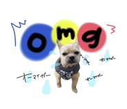 859246697