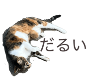 859246804