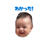 859246931
