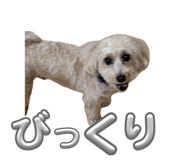 859247180