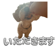 859247181