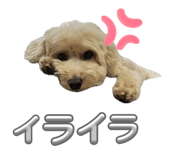 859247183