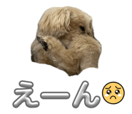 859247189