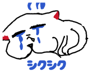 859247212