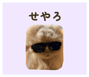 859247445