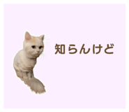 859247447