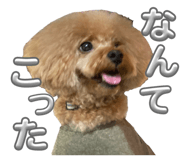 859247505