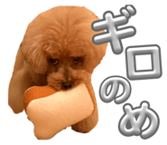 859247507