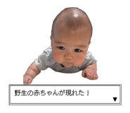 859247770