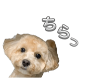 859248635