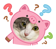 859248689