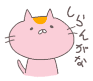 859248922