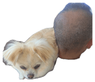 859248931