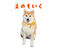 859249089
