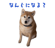 859249092