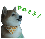 859249093
