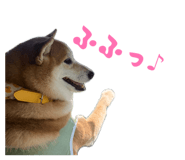 859249095