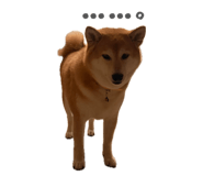 859249096