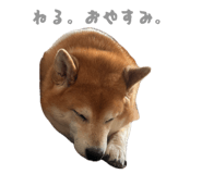 859249098