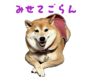 859249103