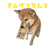 859249104
