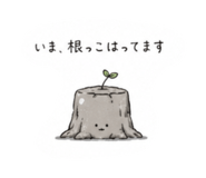 859249157