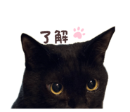 859249180