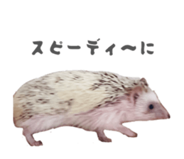 859249234