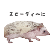 859249234