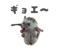 859249237