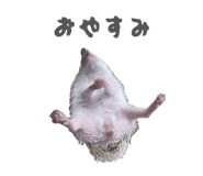 859249242
