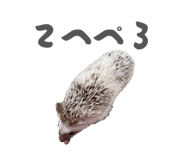 859249247