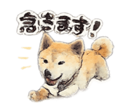 859249454