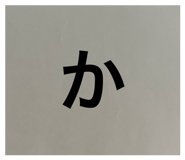 859249598