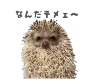 859249635