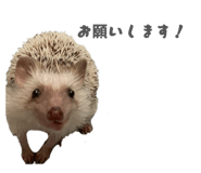859249636