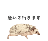 859249643