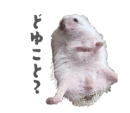 859249644