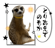 859249757