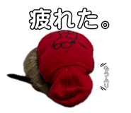 859249758