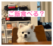 859249843