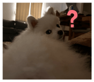 859249847
