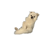 859249868