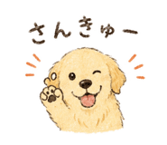 859250008