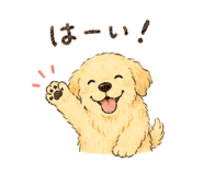 859250010
