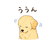859250012
