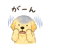 859250021