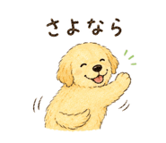 859250022